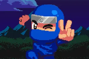 Ninja Woods