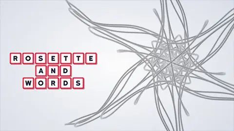 Rosette and Words